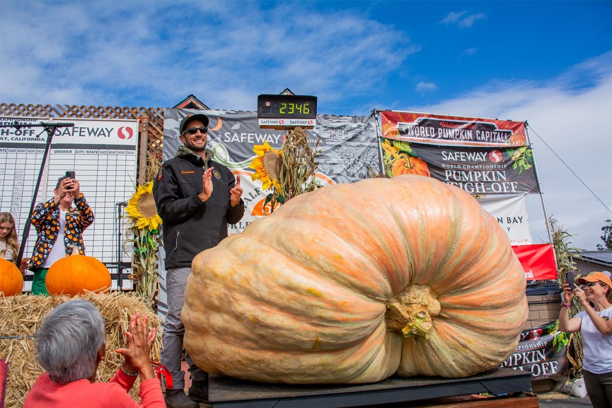 2,346-Pound Pumpkin Takes Top Prize At California Competition