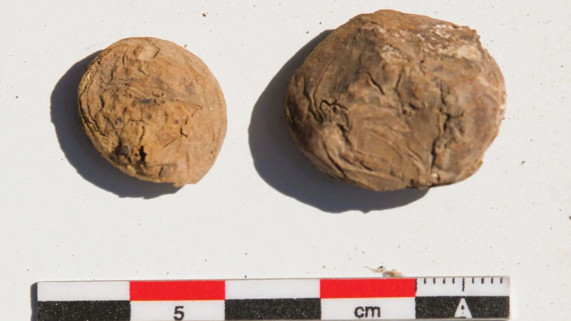 500-Year-Old Potatoes Found Intact In Peru