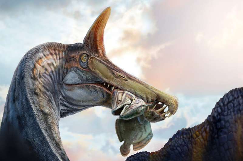 These School Bus-Sized Dinosaurs Once Roamed The Sahara Desert