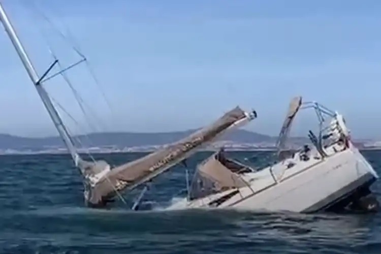 The Mystery Of The Boat-Ramming Iberian Orcas