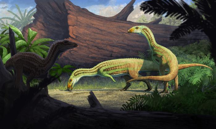 These Ancient Crocodiles Walked On Two Legs And Had Beaks!