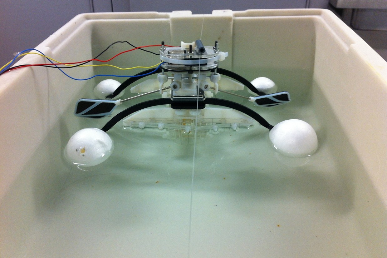 Ingenious 'Row-bot' Devours Microbes From Polluted Water To Fuel Itself