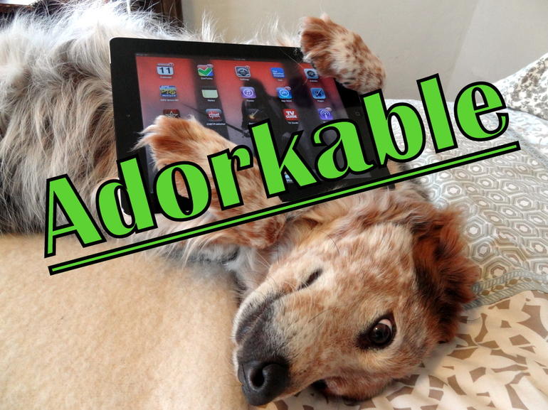 Newsflash! Adorkable Is Now A Legitimate Word!