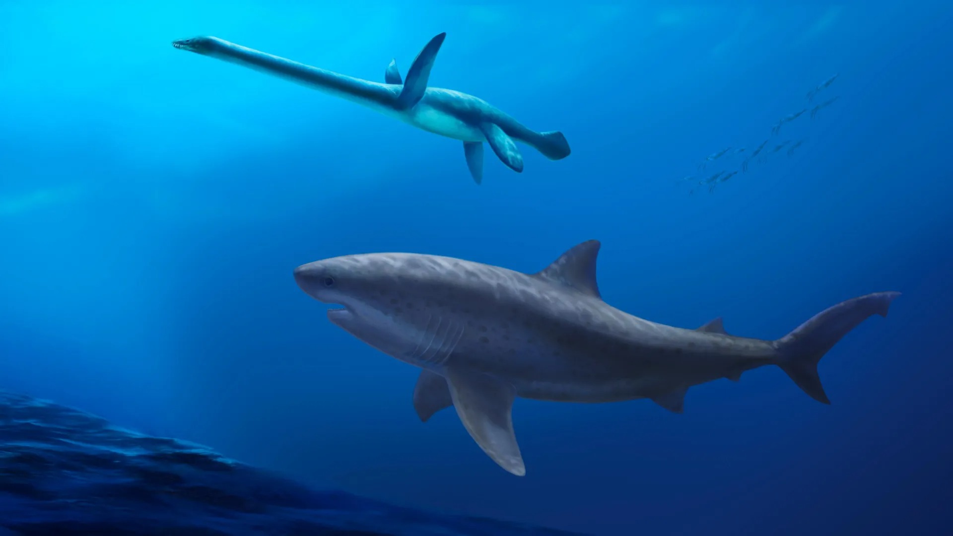 Ancient Giant Shark Discovery Rewrites History