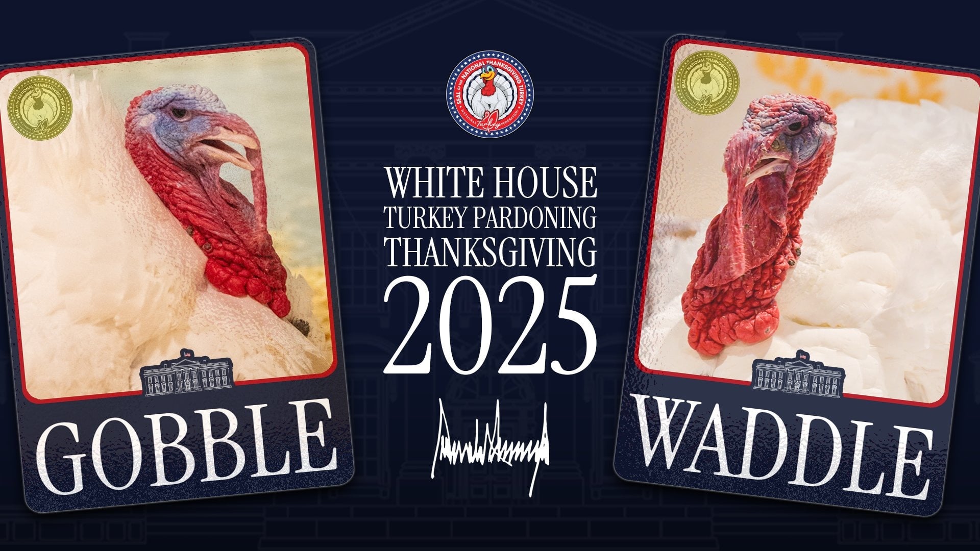 President Trump Saves Gobble And Waddle From The Thanksgiving Table