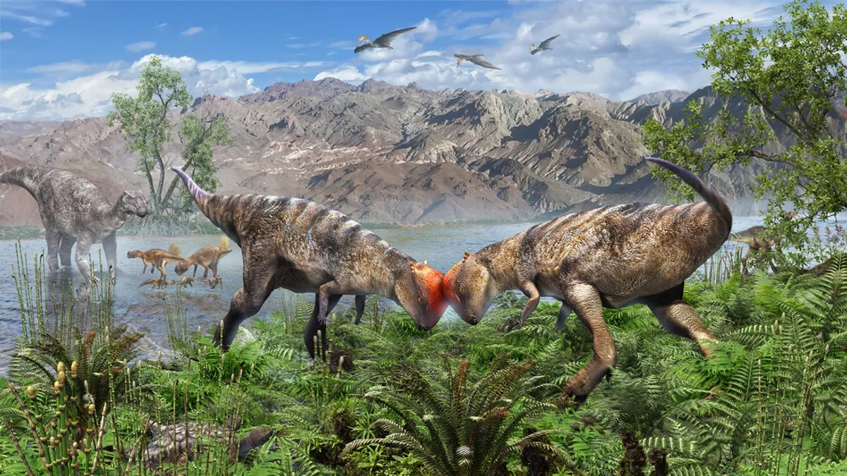 Oldest Dome-Headed Dinosaur Unearthed In Mongolia