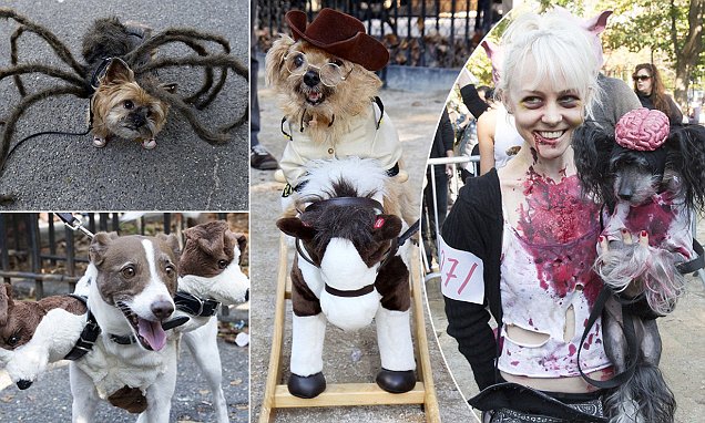 New York's Annual Halloween Dog Show Does Not Disappoint