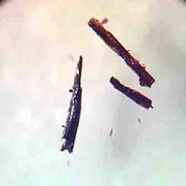 Super Crystal Could Allow Mere Mortals To Be "Aquaman" (Or Woman)!