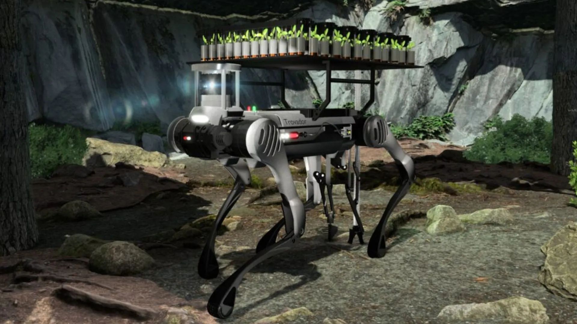 Teen Inventors Build Robot To Replant Burned Forests