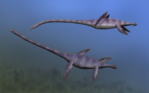Fossil Of Gigantic Loch Ness Monster Look-Alike Unearthed In Antarctica