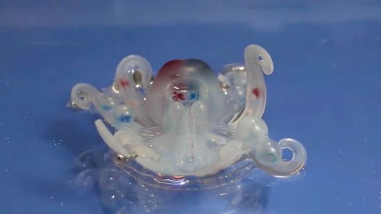 Harvard University's Octopus-Inspired Octobot is Adorable And Revolutionary