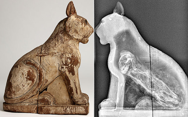Scientists Ponder Over The Mystery Of The Missing Egyptian Animal Mummies