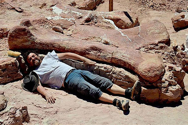 Newly Unearthed Titanosaur May Be A Strong Contender For The Biggest Known Dinosaur