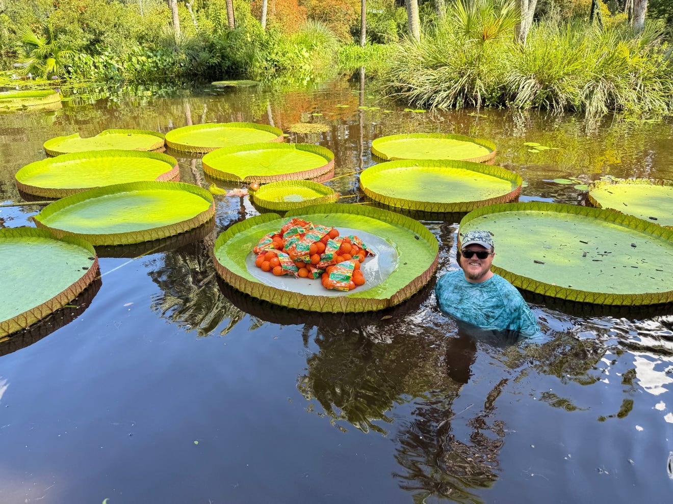 Water Lily Weigh-Off Winner Holds Astonishing 183 Pounds