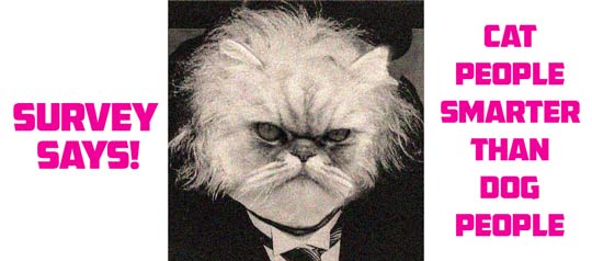 Are Cat Owners Smarter Than Dog Owners? This Study Certainly Thinks So