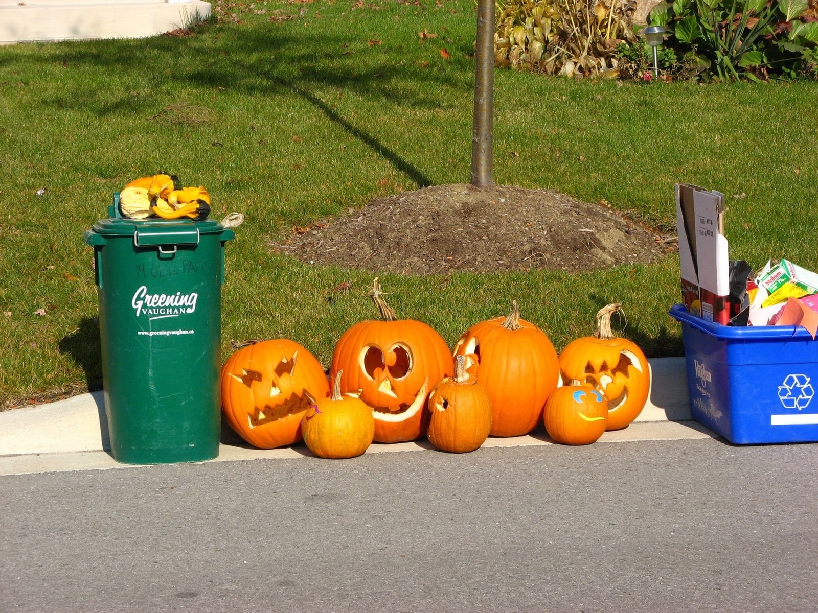 Give Your Halloween Pumpkins A Second Life