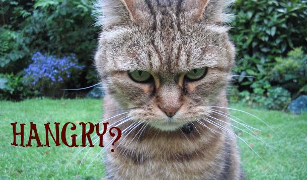 Scientists Say Being 'Hangry' Is Normal And Perhaps Even Genetic