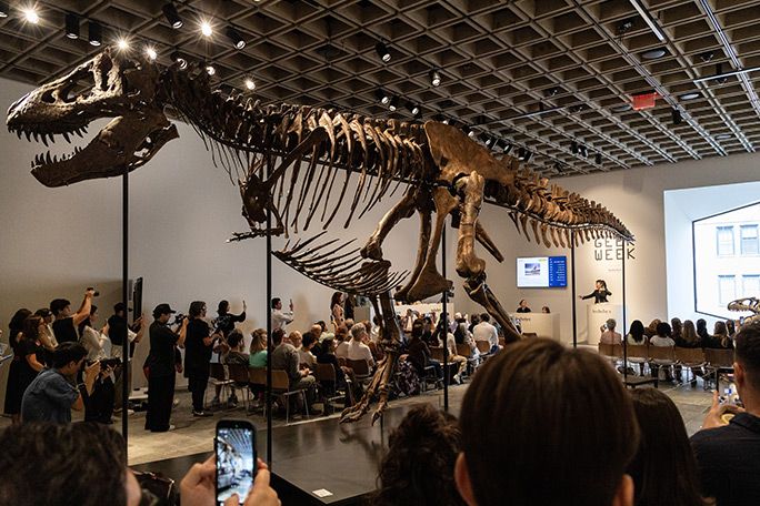 "Gus" The T. rex Fetches A Staggering $50.1 Million At Auction