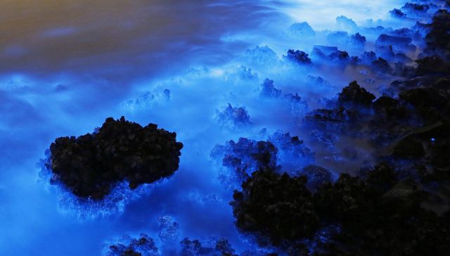 Why Hong Kong's Luminescent Blue Coastline Is A Cause For Concern