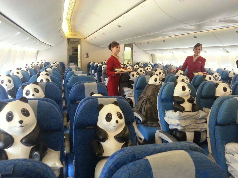 Hong Kong Invaded By 1600 Paper Mache Pandas!