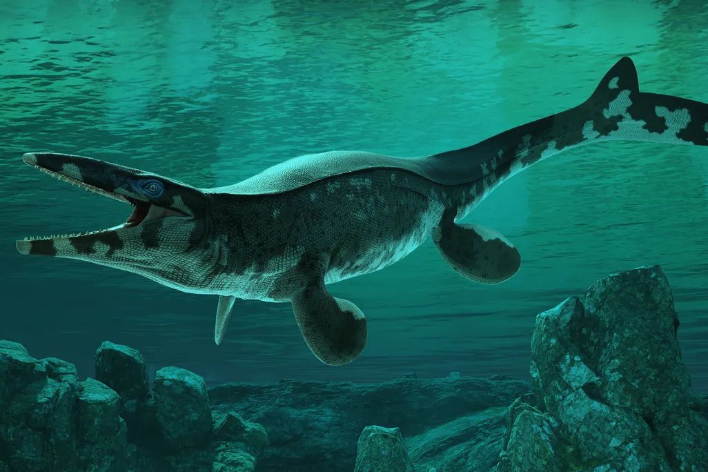 Meet The "T. Rex Of The Sea"