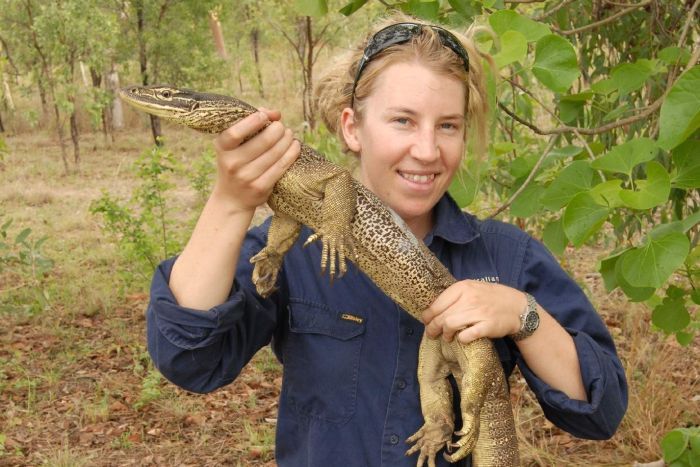 How Researchers Trained Australian Monitor Lizards To Avoid Toxic Toads
