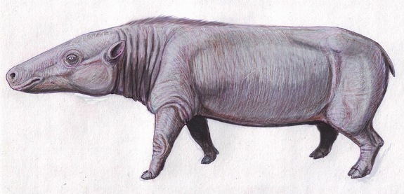 Fossil Discovery in Kenya Reveals Modern-Day Hippos Evolved In Africa