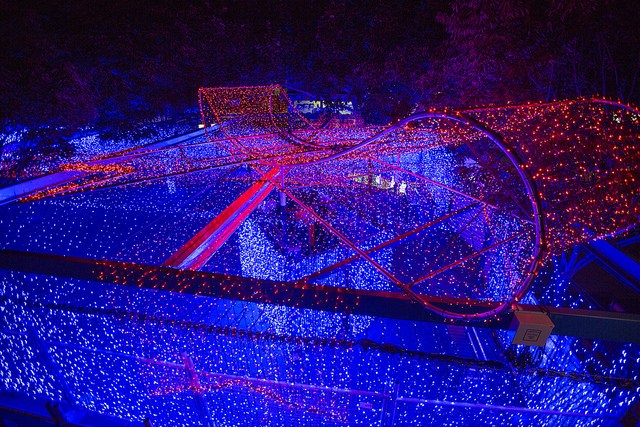 Canberra Resident Creates World's Largest Christmas Lights Display . . . Again
