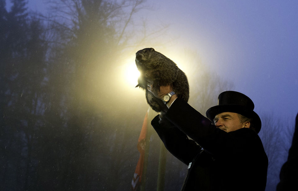 Extended Winter Or Early Spring? Groundhogs Make Their Predictions!