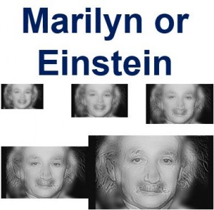 Marilyn or Einstein? Take This Fun Eye Test Devised By MIT Researchers