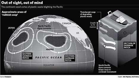 How The Increasing Plastic Debris In The Great Pacific Garbage Patch May Alter The Ocean's Ecosystem