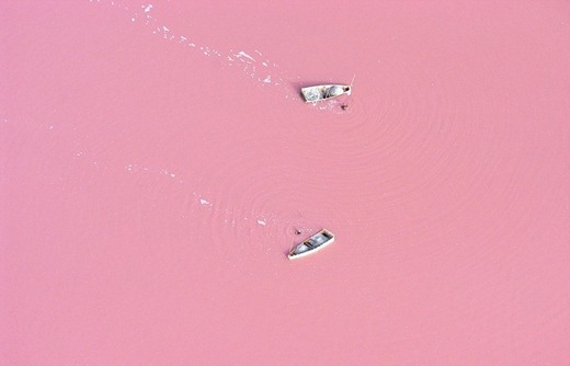 The Secret Behind Senegal's Pink Lake