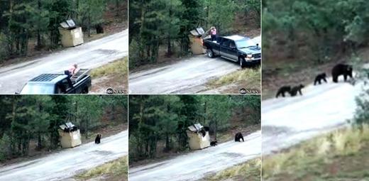 Video Of The Week - Baby Bears Get Stuck In A Dumpster - Again!