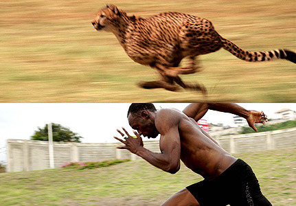 A Runner That Makes Usain Bolt's 100-Meter Sprint Seem . . . . Painfully Slow!