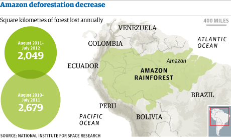 Amazon Rainforest Deforestation Shows Positive Trends