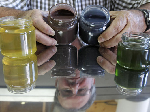 Rainbow Colored Honey Anyone?