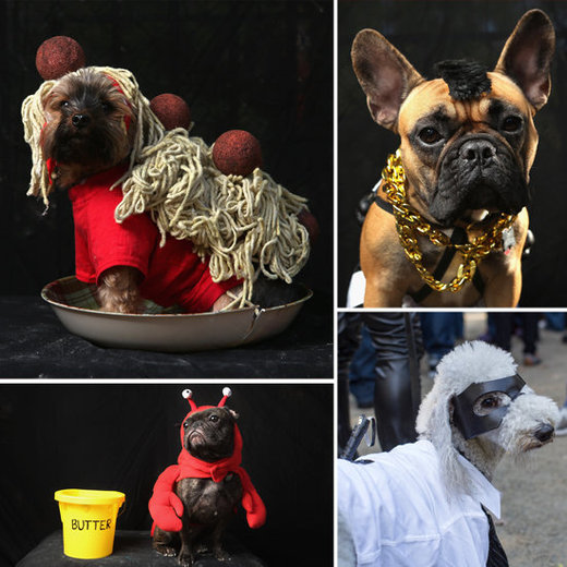 At Least New York's Pooches Got To Enjoy Halloween