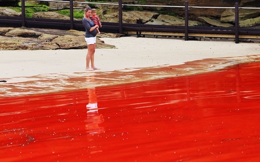 Crimson Waters Cause Several Sydney Beaches To Close
