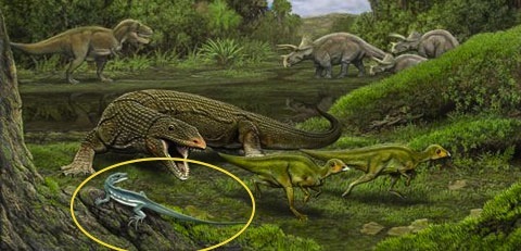Dinosaur Era Lizard Gets Named After President Obama