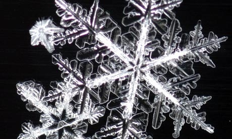 Hi-Tech Camera Snaps 3-Dimensional Pictures of Falling Snowflakes
