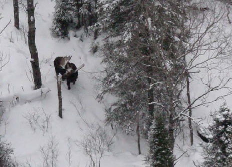 The Text Message Minnesota Researchers Are Not Looking Forward To Receiving!