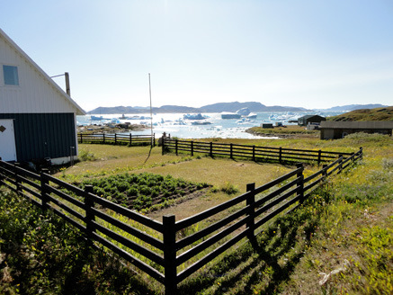Fresh Vegetables And Fruit From Greenland? Hmmm . . .