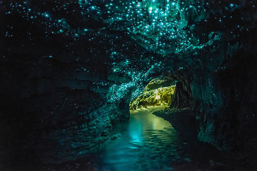 New Zealand's 'Glow-In-The-Dark' Cave is Powered By Flies!