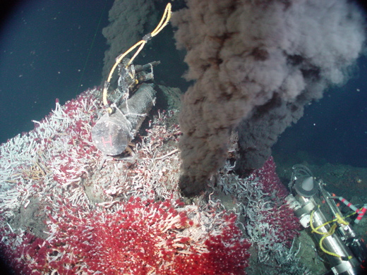 Could Undersea Hot Springs Hold The Key To Understanding The Origins Of Life?