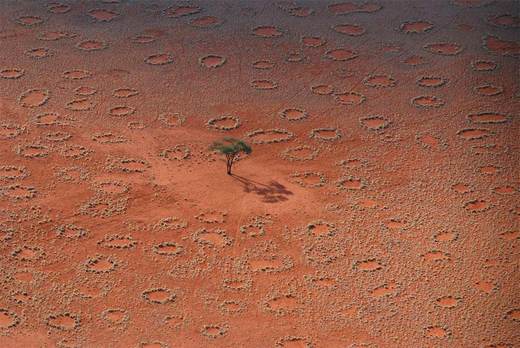 Is The Namib Desert 'Fairy Circles' Mystery Finally Solved?