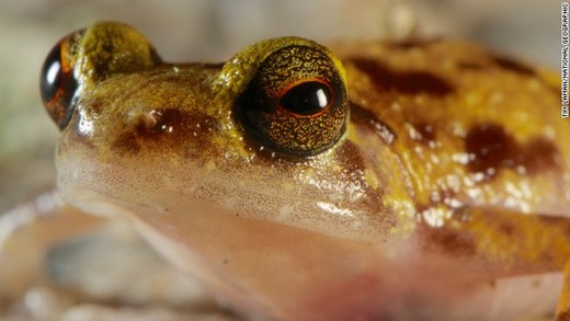 Incredible 'Lost World' Discovered in Australia