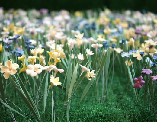 'Playing' With Food Has Never Looked So Good!