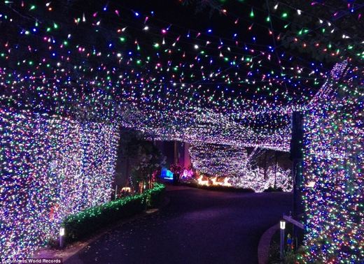 Australian Family Sets New Record For Christmas Light Display