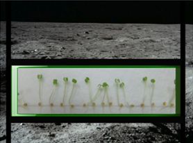 A Vegetable Garden On The Moon? NASA Certainly Hopes So