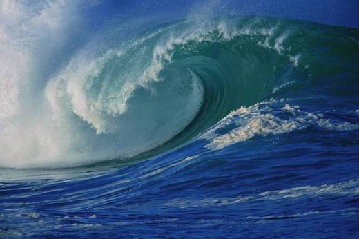 Will Seafloor Carpets Be The Key To Harvesting Wave Energy?